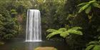 Milla Milla Falls - QLD (PBH4 00 16946)